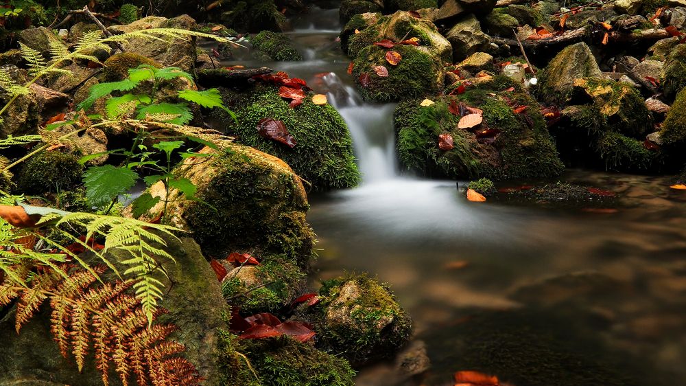 Фотография автора Flegner Calin