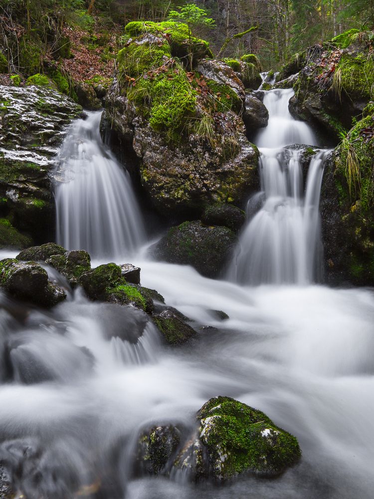 Фотография автора Flegner Calin