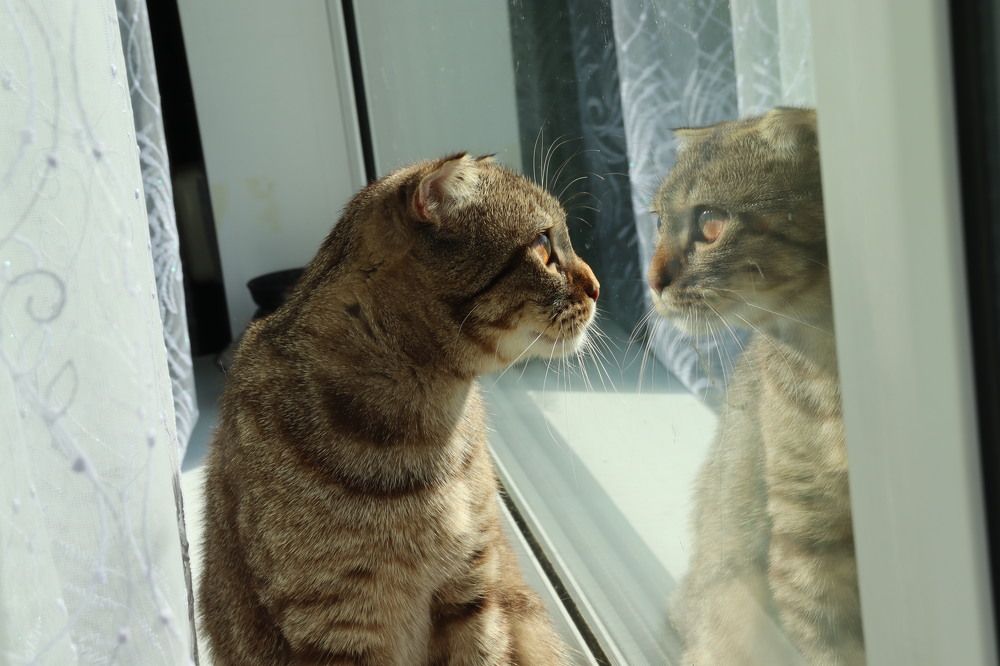 Photograph by Иван Скрипкин