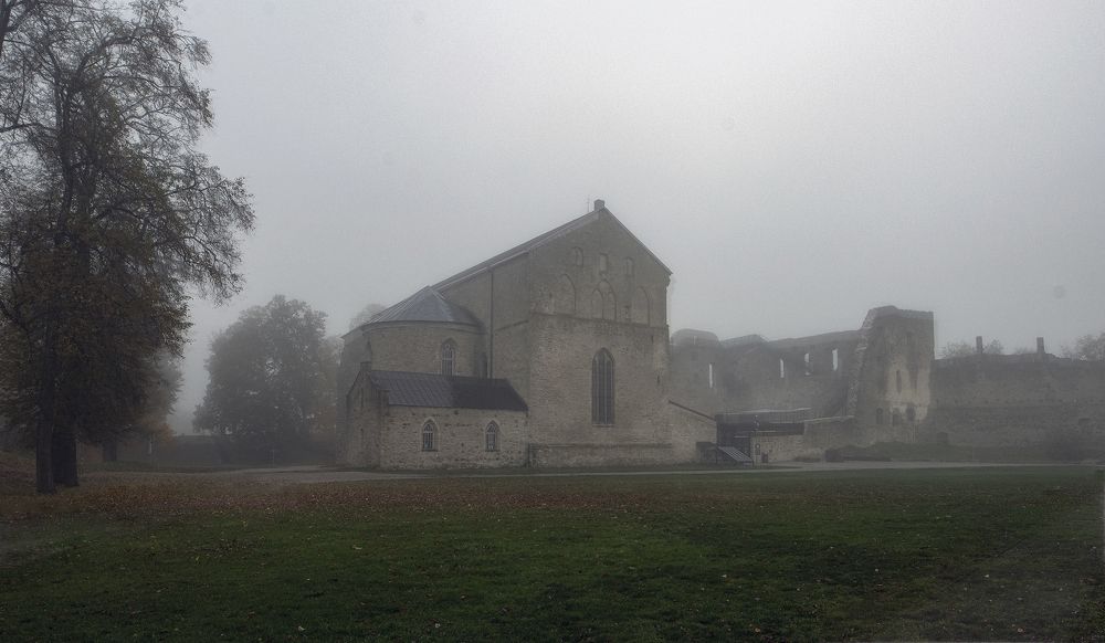 Photograph by Raivo Kremer