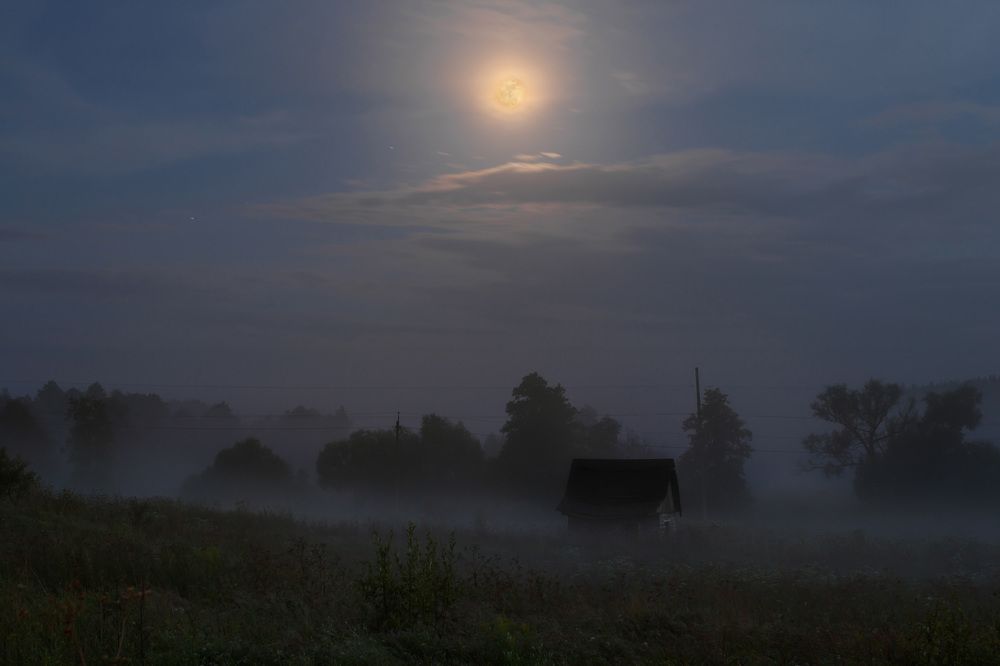 Photograph by Константин Панькин