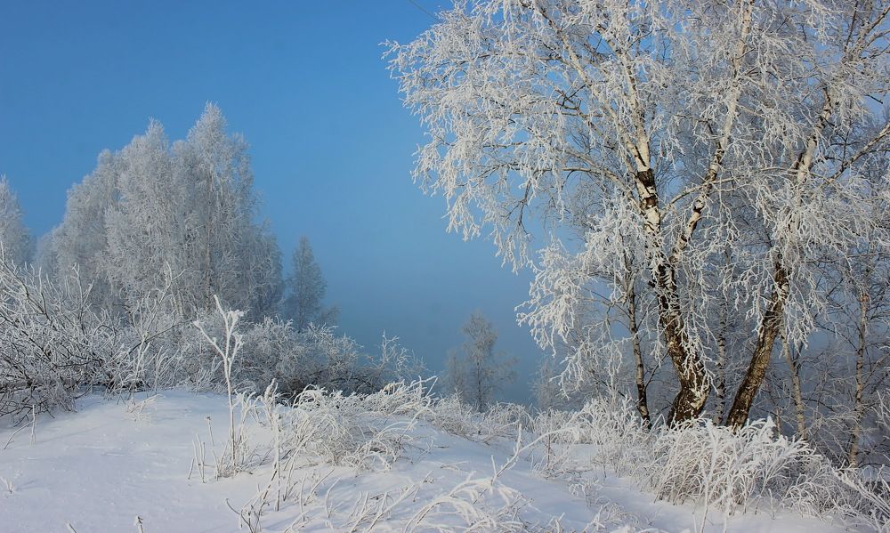Photograph by Наталья Юрова