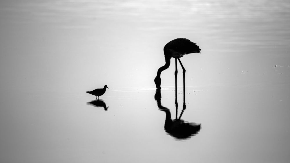 Photograph by ERDEM ARIF YIGIT