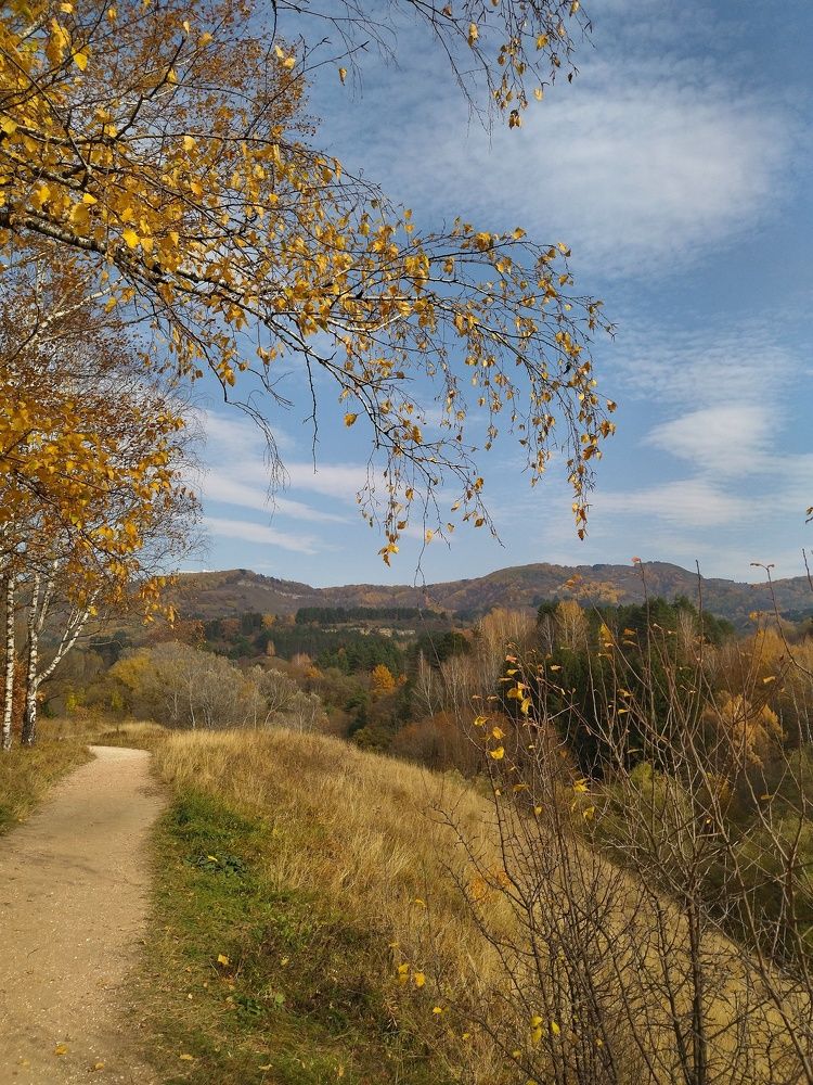 Photograph by Эльза Трисантович