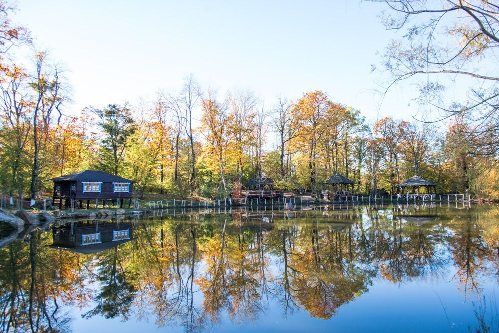 Photograph by Наталья Ковалёва