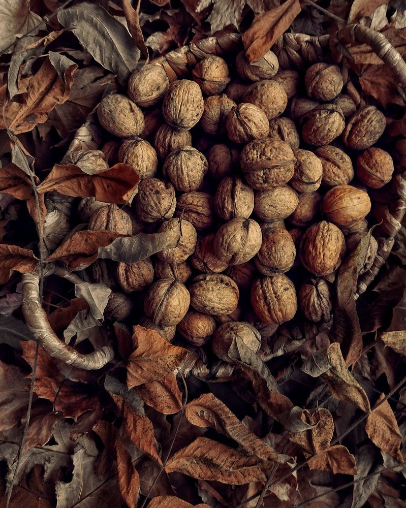 Photograph by Эльза Трисантович