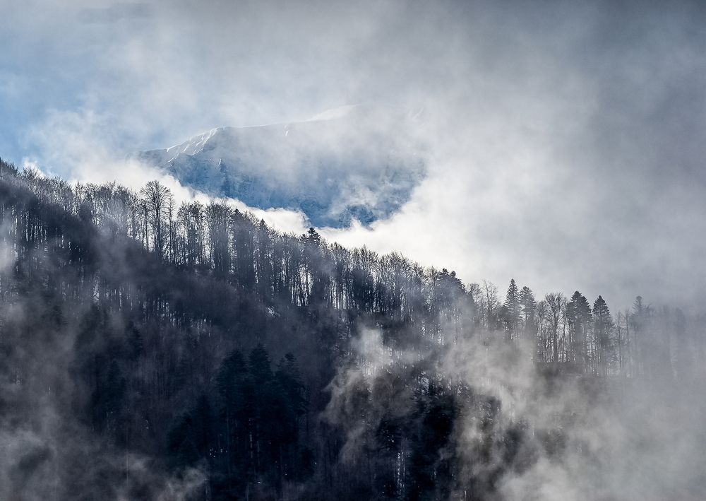 Fog in the mountains