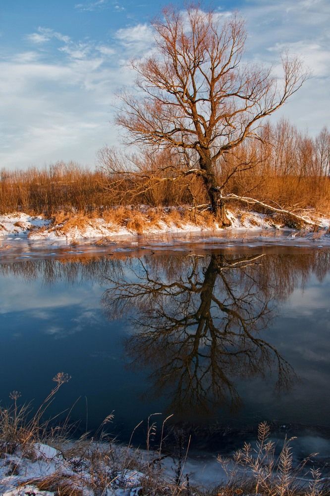 Photograph by Елена