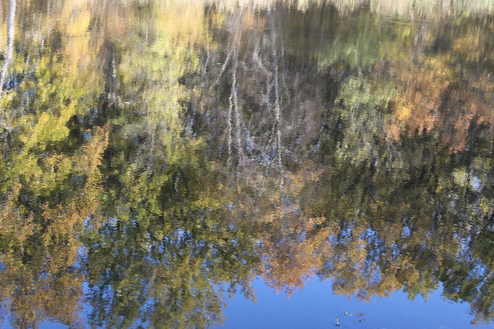 Photograph by Елена