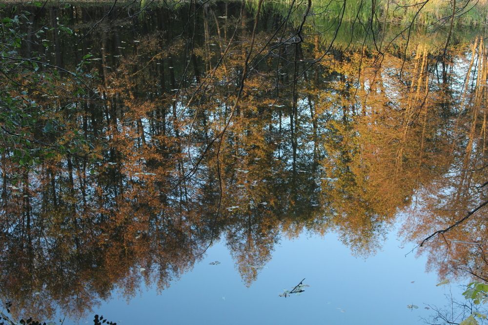 Photograph by Елена