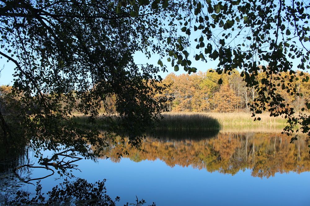 Photograph by Елена