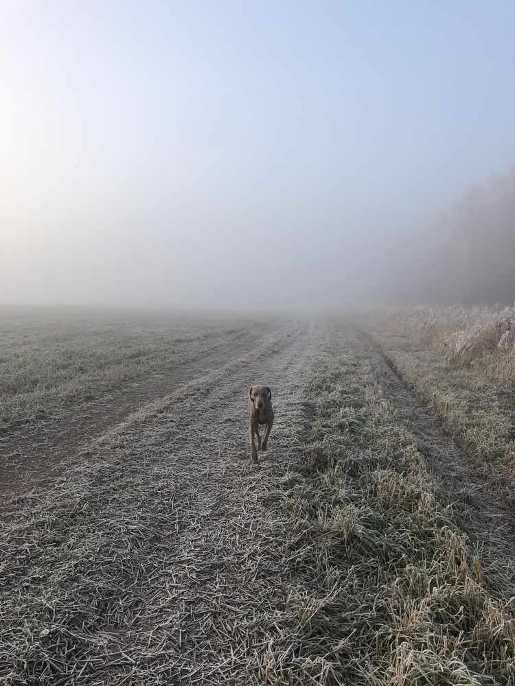 Photograph by Донская