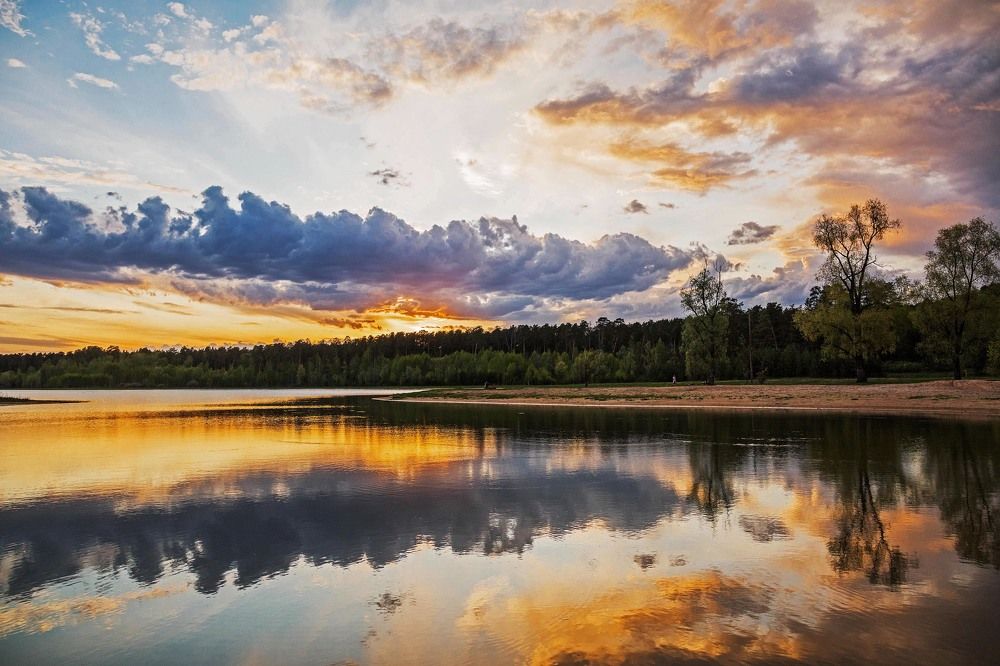 Photograph by Елена