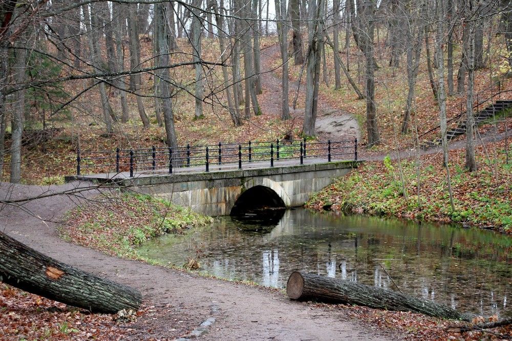 Photograph by Валентина