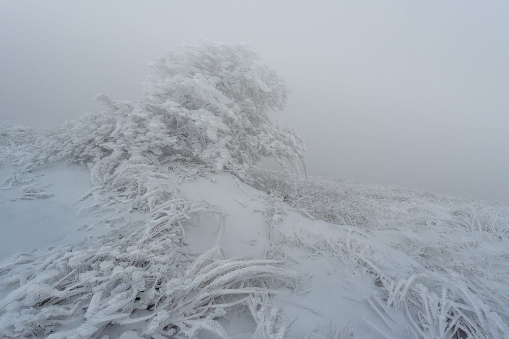 Photograph by Наргиза Кахарова