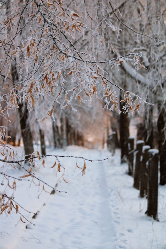 Photograph by Юлия Гаврильчик