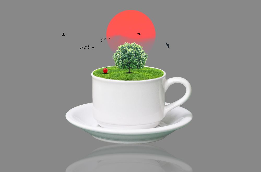 A Cup of Fantasy