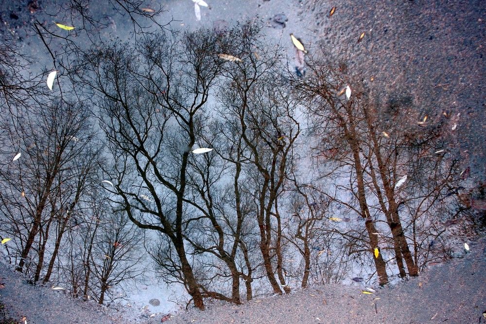 Photograph by Валентина