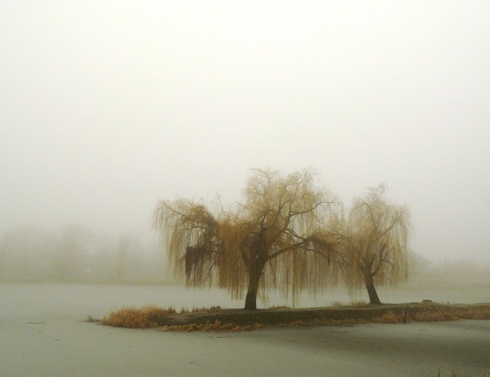 Photograph by Сергій Вітовський