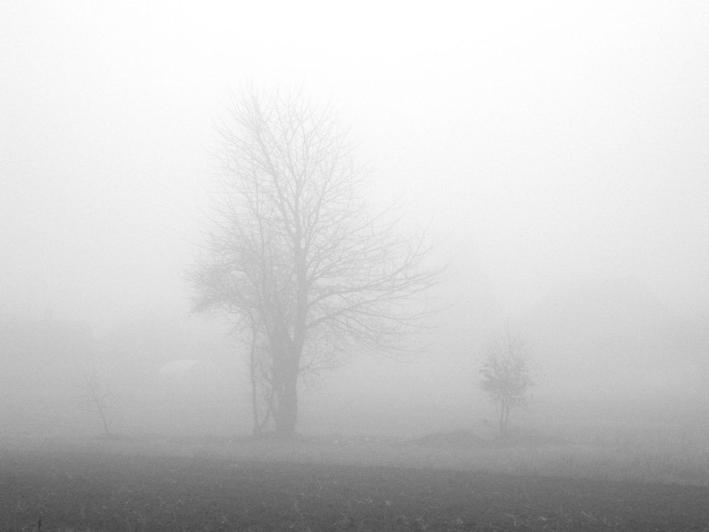 Photograph by Сергій Вітовський