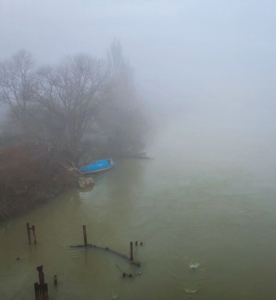 Photograph by Анастасия