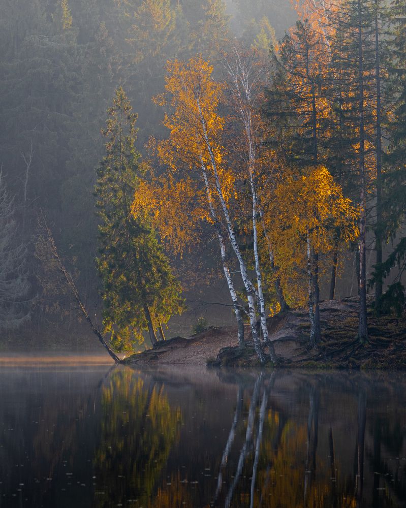 Photograph by Илья Шамин