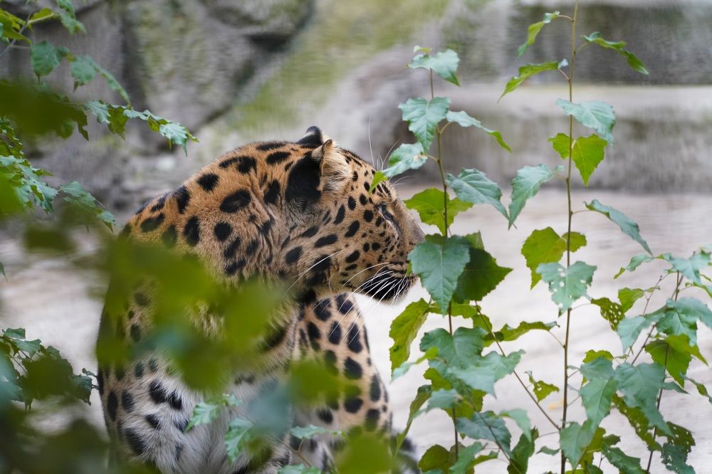 Фотография автора Виктория Ким