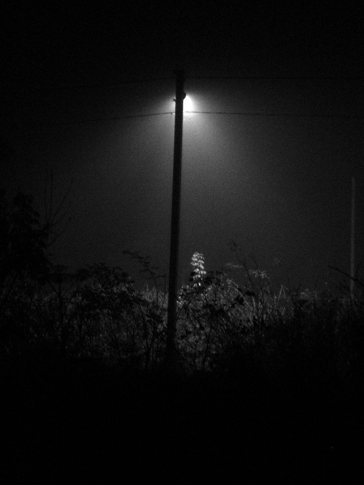 Photograph by Сергій Вітовський