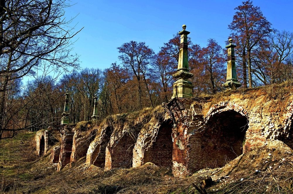 Photograph by Дмитрий Розенбаум