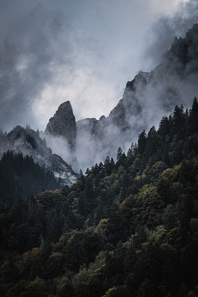 Photograph by Дмитрий Рябцев