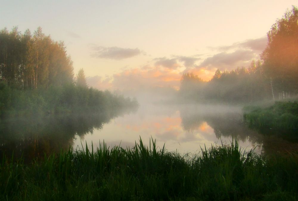 Закатный туман