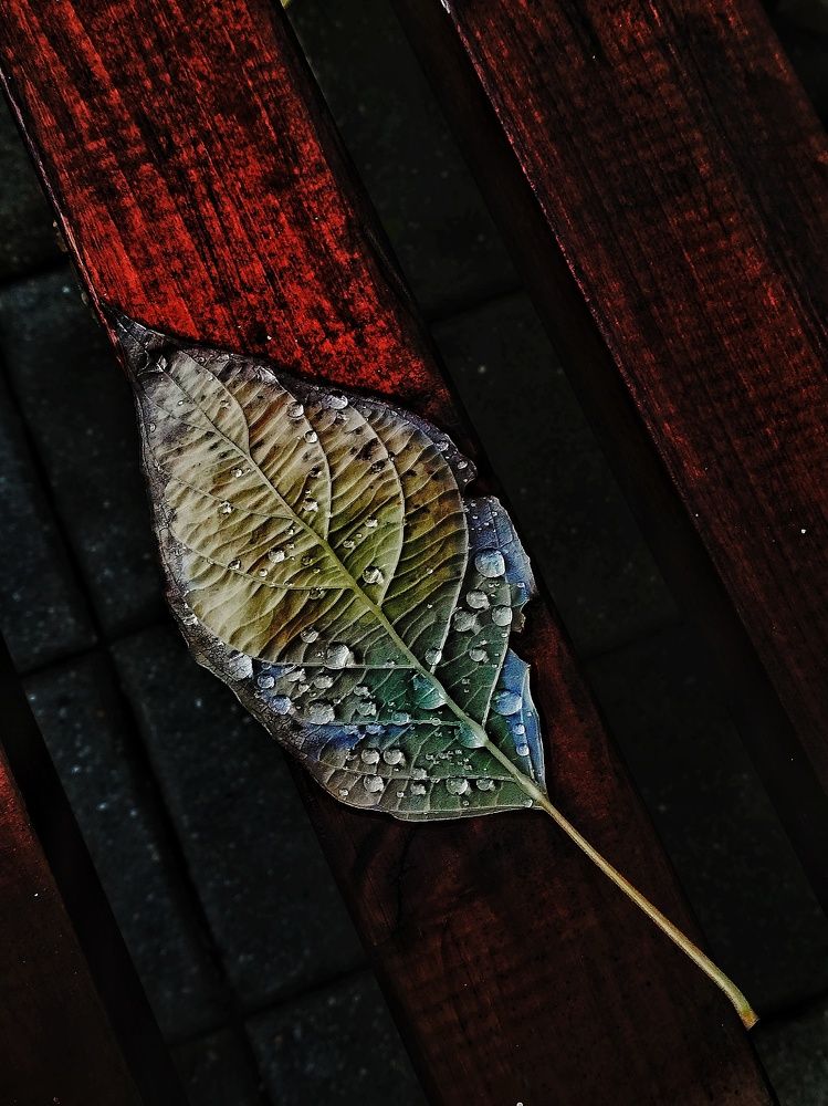 Photograph by Ксения Пацеева