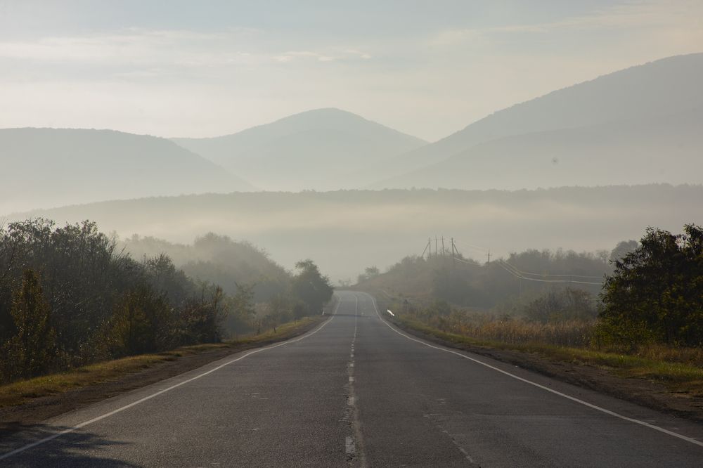 Фотография автора Ксения Зайцева