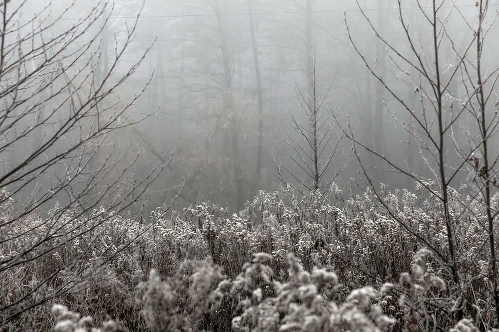 Photograph by Александр Степанов