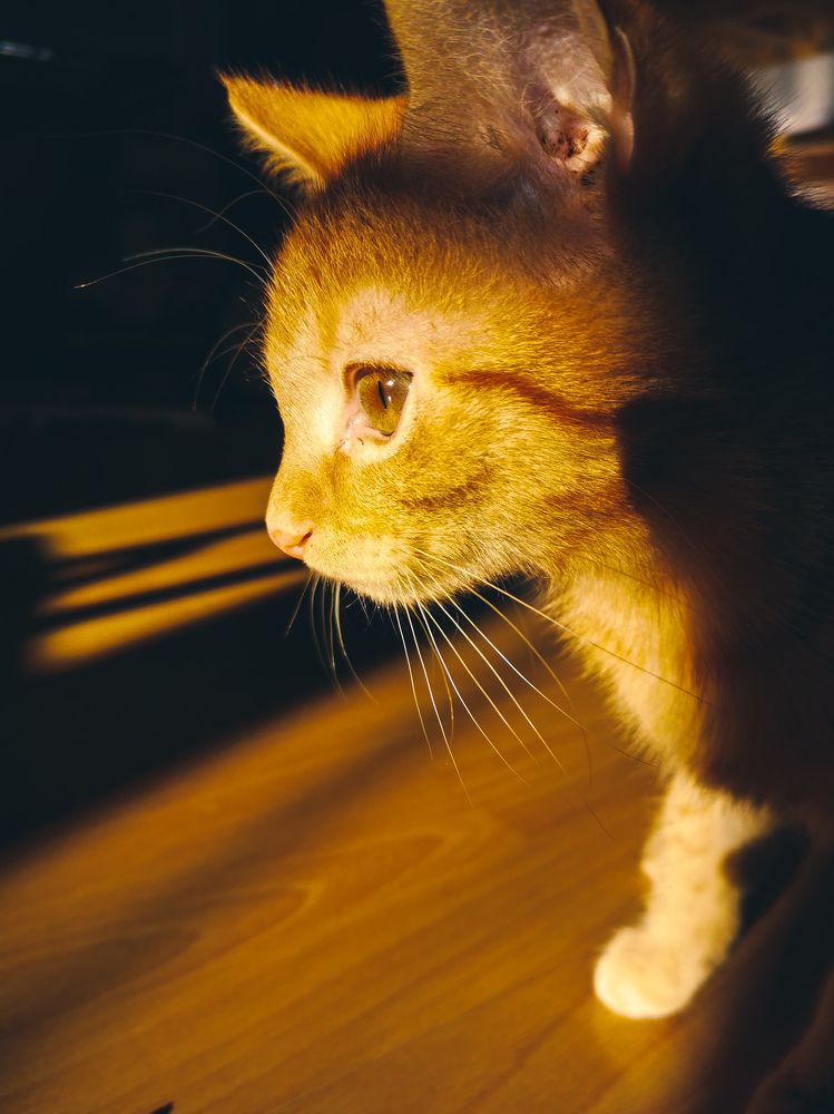 Фотография автора Svetlana Kaindl