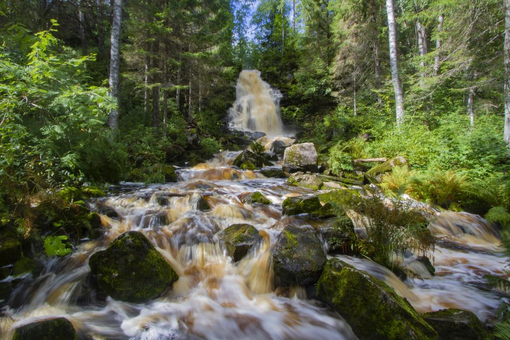 Фотография автора Ксения Зайцева
