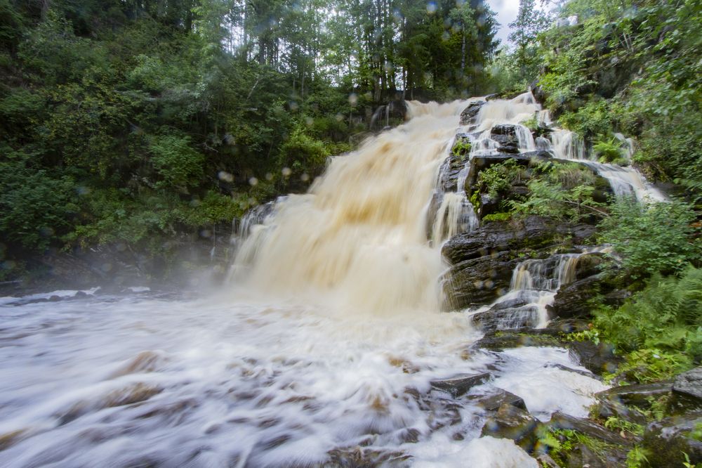 Фотография автора Ксения Зайцева