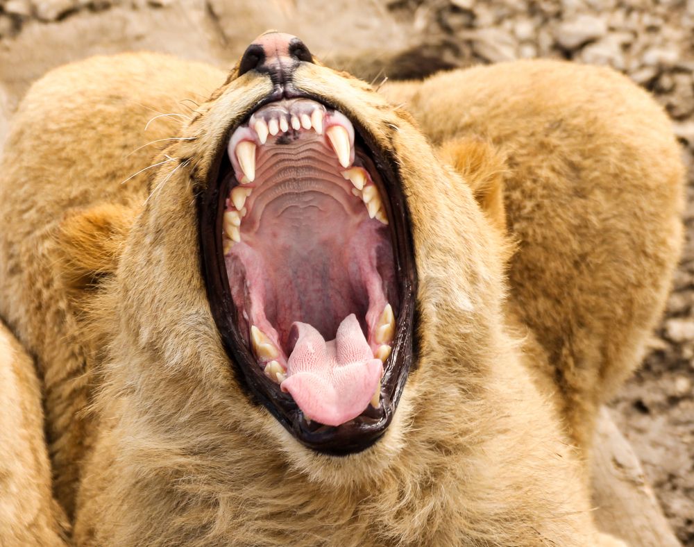 Photograph by Герман