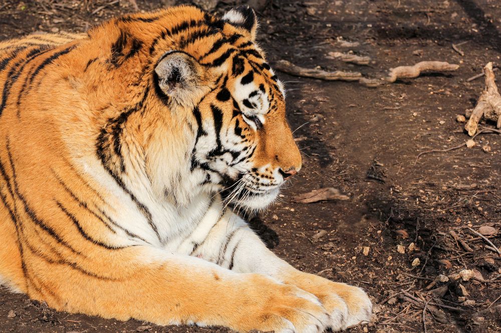 Photograph by Герман