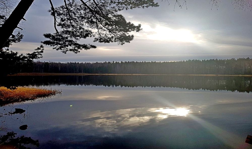 Photograph by леонид натапов