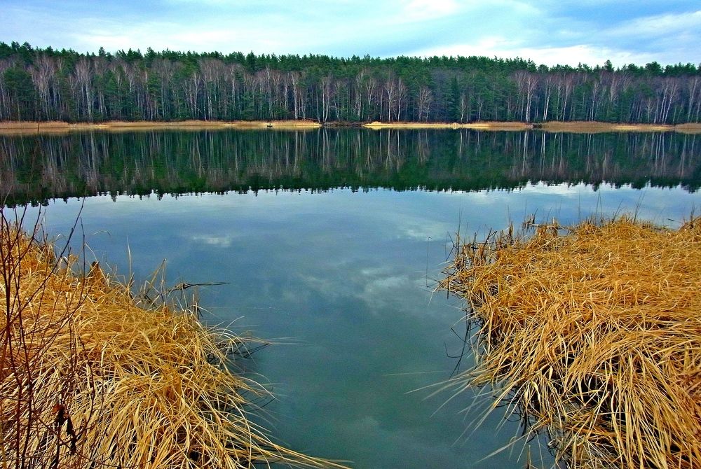 Photograph by леонид натапов