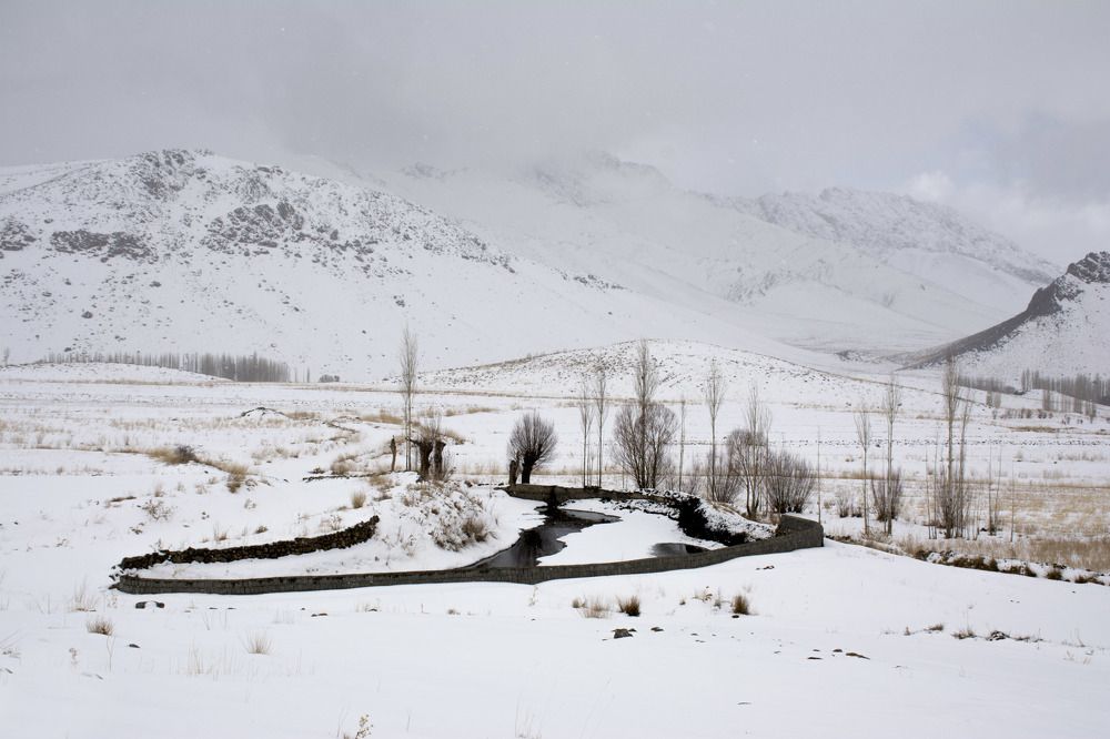 Photograph by seyedjalal seyedhosseini