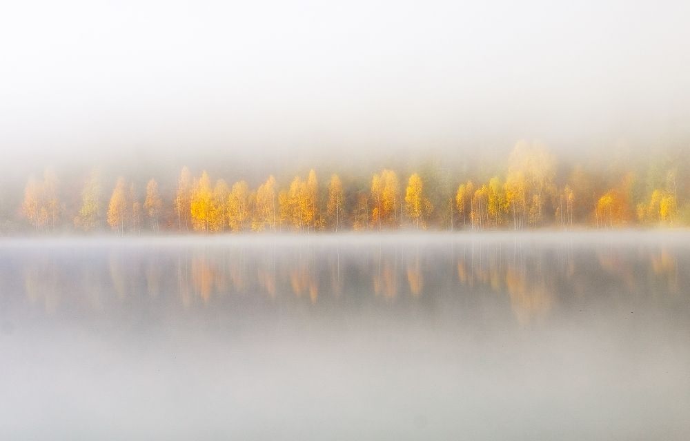 Photograph by Pujina Robert