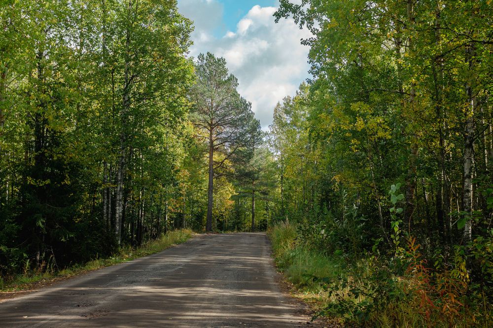 Photograph by Ol Ger