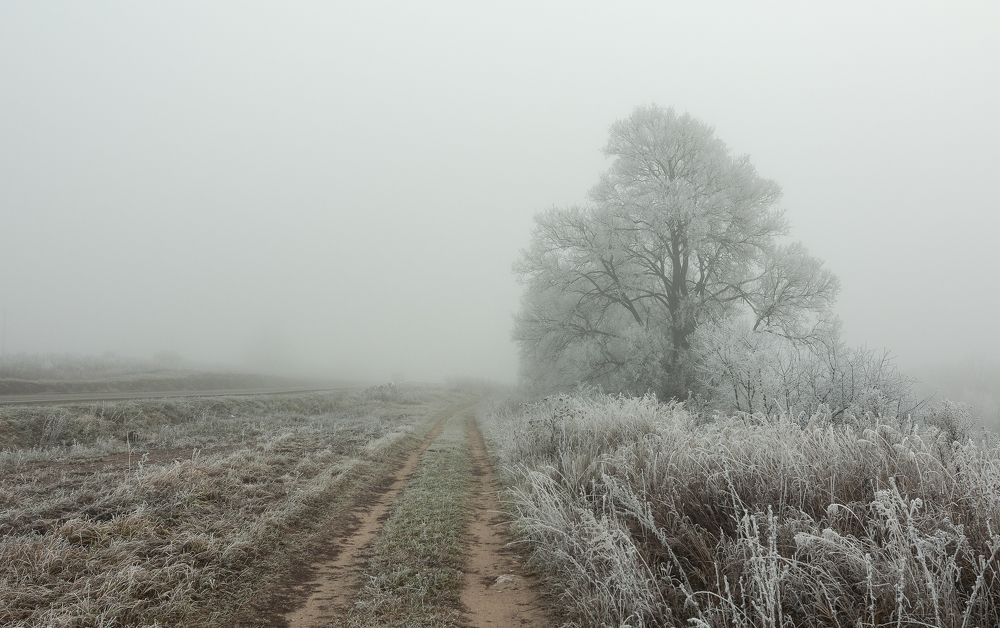 Туманные дороги