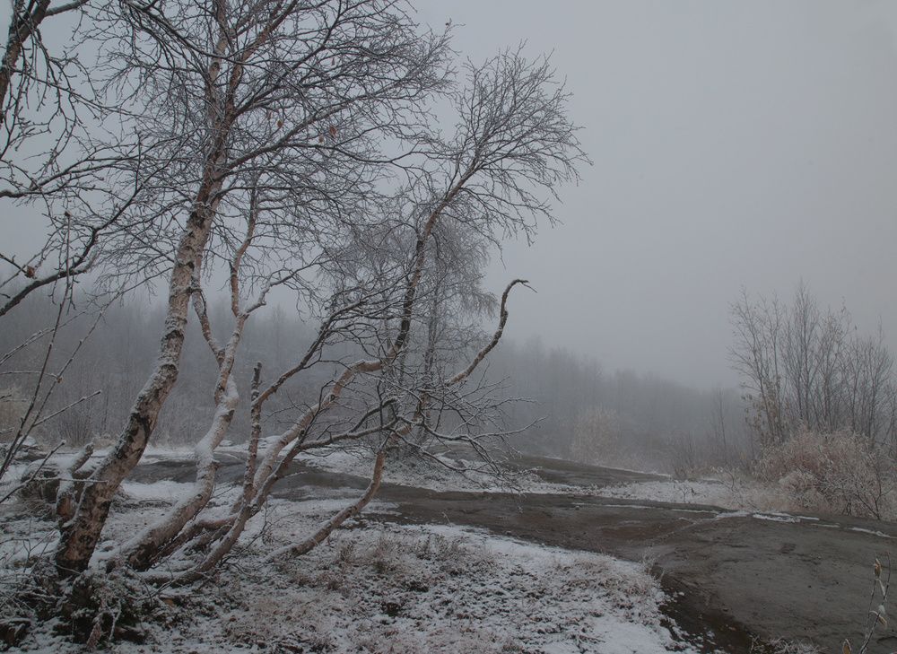 Photograph by Надежда Кузнецова
