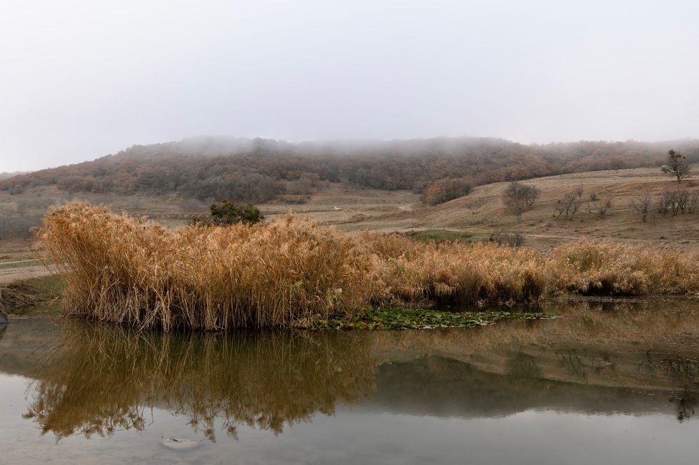 Photograph by Ирина Ульянова