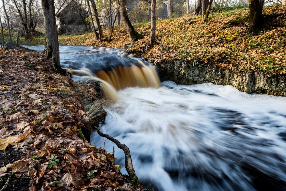 Photograph by Larisa Cekanaviсa