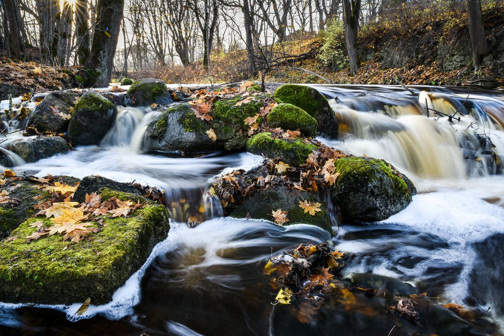 Photograph by Larisa Cekanaviсa