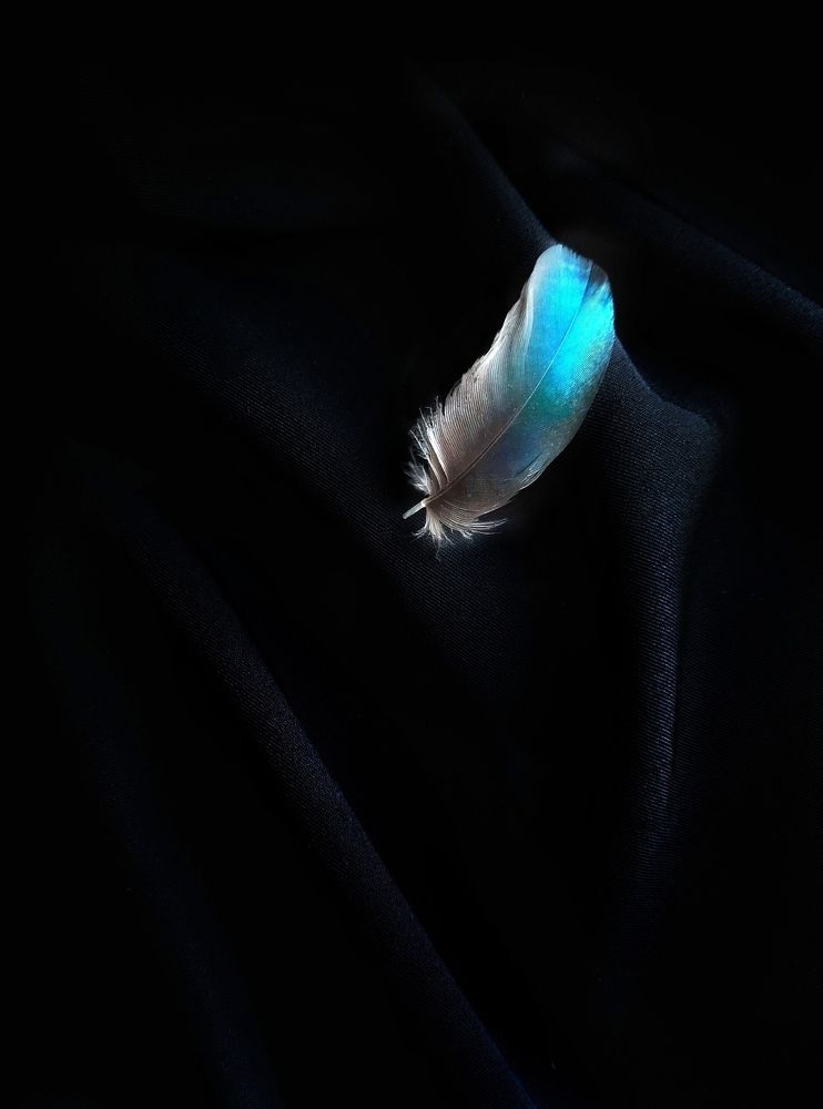 Photograph by Эльза Трисантович